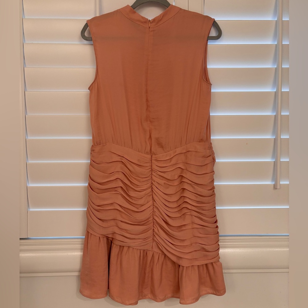 Naked Zebra Peach Ruched Mini Dress - Picture 5 of 8